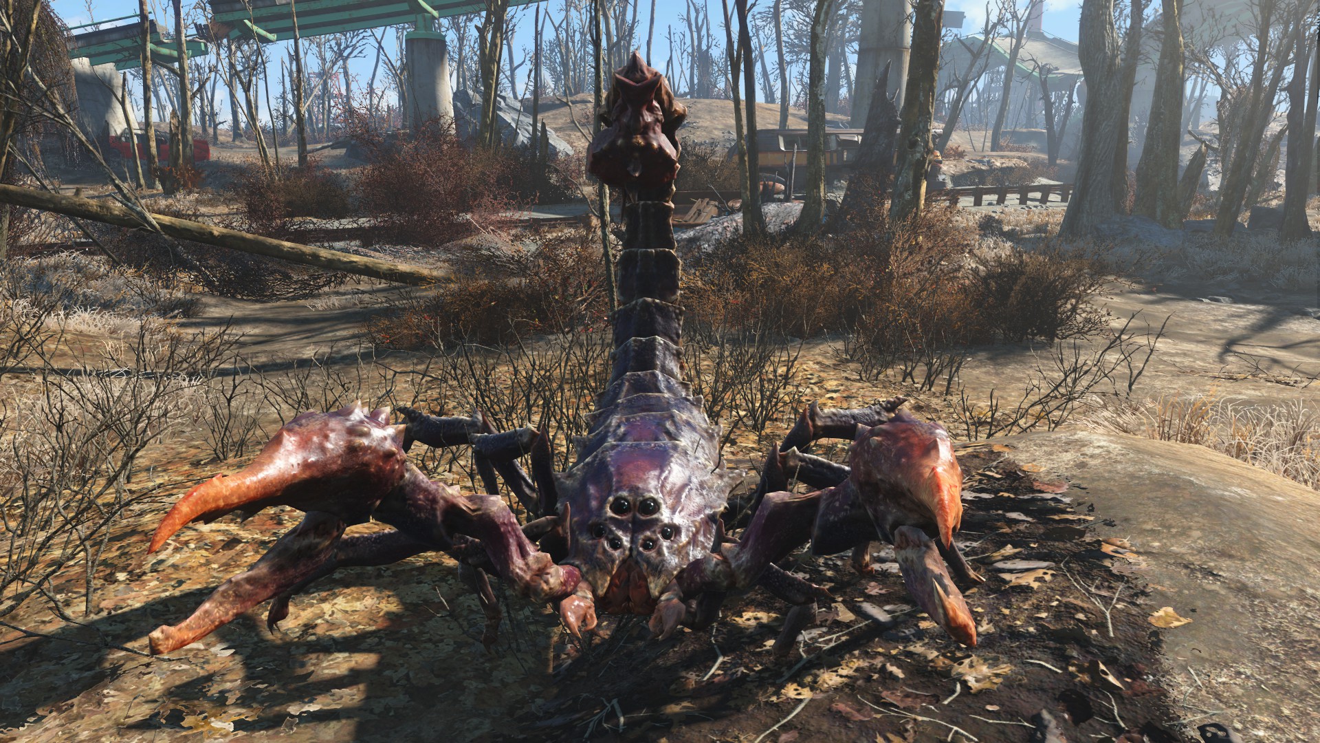 FO4 Radscorpion Hunter.jpg