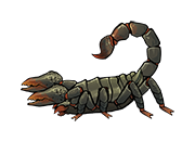 FoS Radscorpion