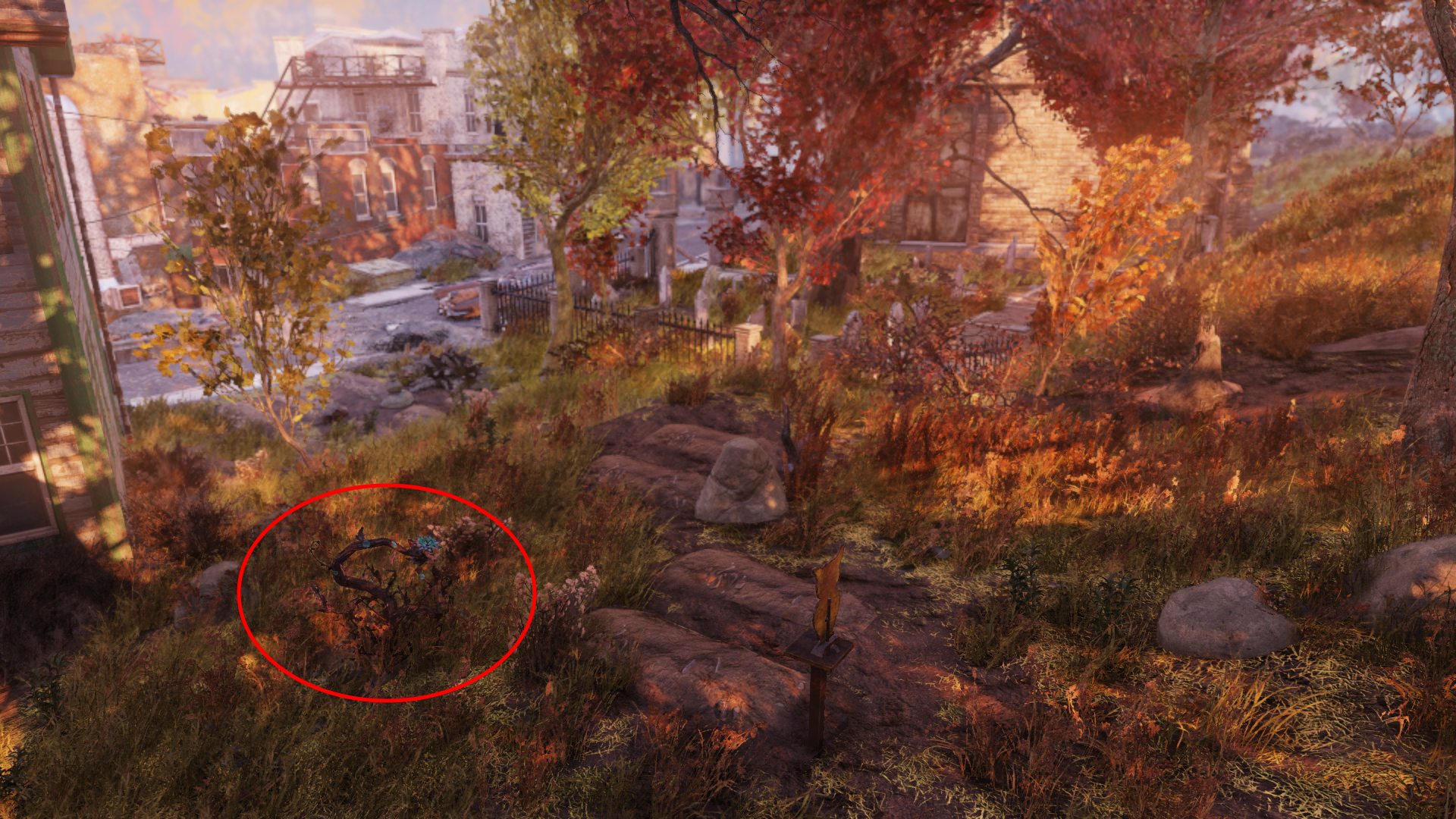 Fever Blossom Fallout 76 Fallout Wiki Fandom
