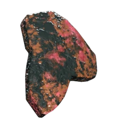 Smoked scorchbeast lung | Fallout Wiki | Fandom