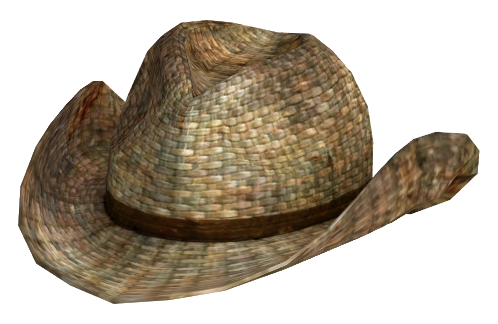 rawhide cowboy hat
