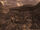 Category Fallout New Vegas Locations Fallout Wiki Fandom