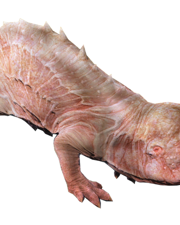 Mole Rat Fallout 4 Fallout Wiki Fandom