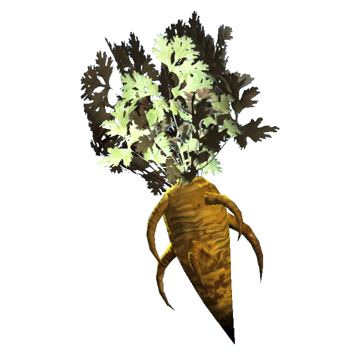Image - Carrot.png | Fallout Wiki | FANDOM powered by Wikia