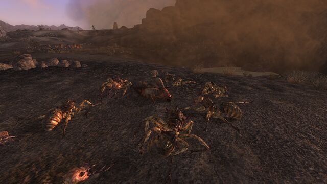 Файл:JRS dead brahmin.jpg