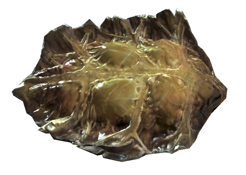 Mystery meat fallout 4