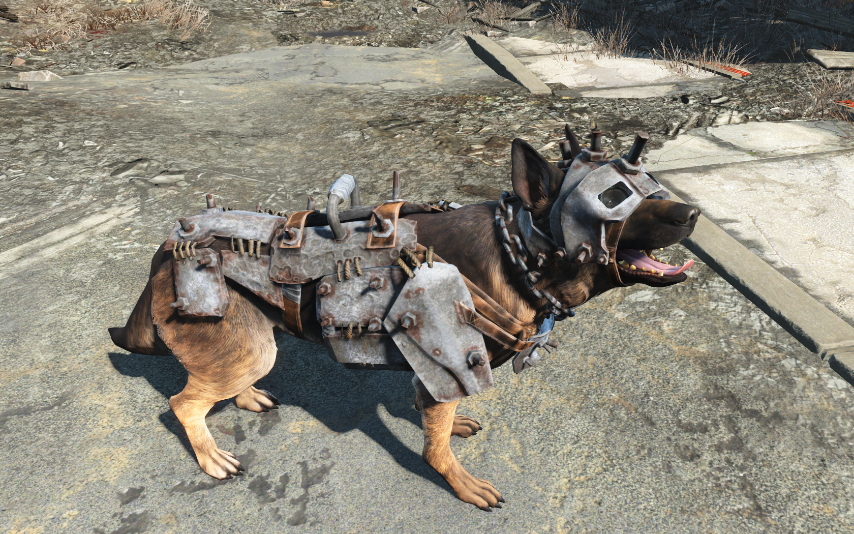 Dogmeat Fallout 4 Fallout Wiki Fandom