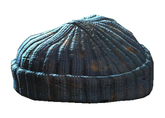 gray knit hat