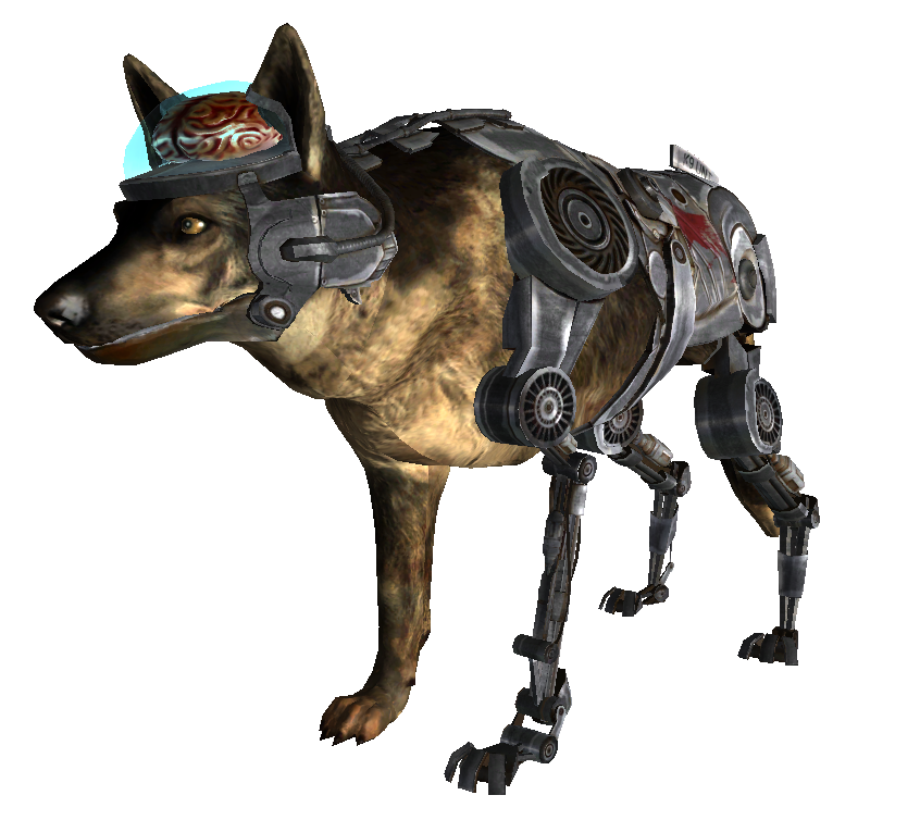 fallout new vegas coyote