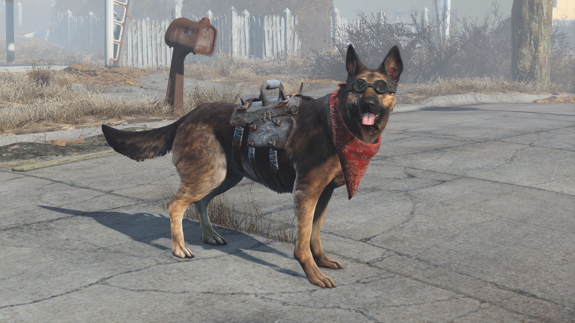 Image - Dogmeat equipped items.jpg | Fallout Wiki | FANDOM powered by Wikia