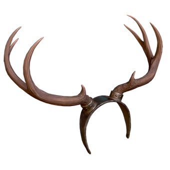 black antler headband