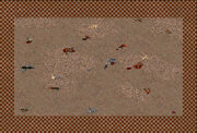 Fo2 Pariah Dog