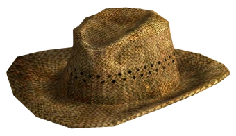 rattan cowboy hat