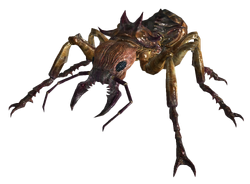 https://vignette.wikia.nocookie.net/fallout/images/d/d7/Giant_soldier_ant.png/revision/latest/scale-to-width-down/250?cb=20110508014217
