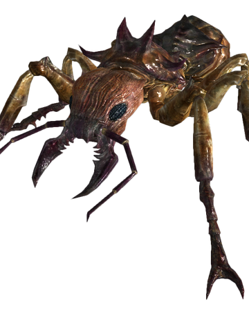 Giant Ant Fallout New Vegas Fallout Wiki Fandom