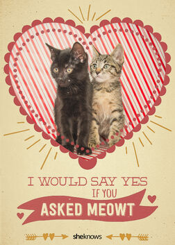 Valentines-Day-Cat-Card-10 x4ebti