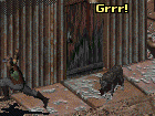 Dogmeat