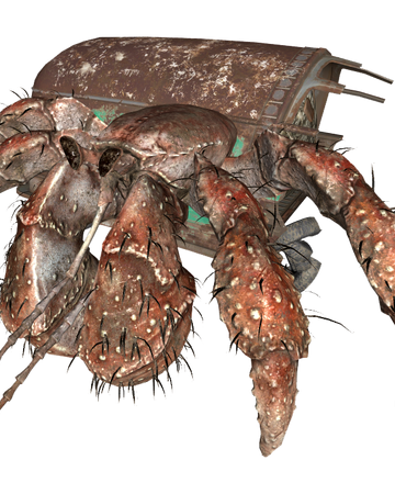 Hermit Crab Fallout 76 Fallout Wiki Fandom