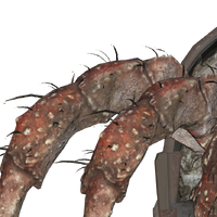 Hermit Crab Far Harbor Fallout Wiki Fandom