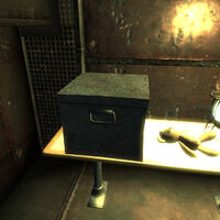 Fallout