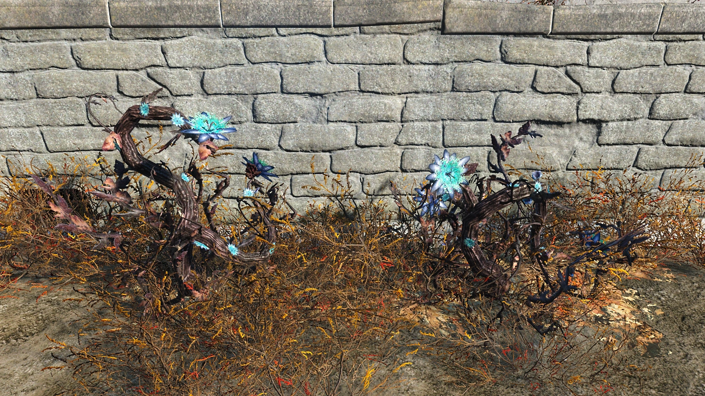 Fever blossom Fallout Wiki FANDOM powered by Wikia