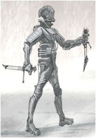 Fallout 3 Chinese Stealth Armor
