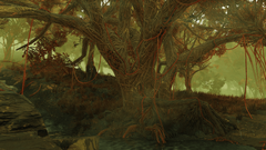 F76 Strangler Plant Tree