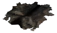 https://vignette.wikia.nocookie.net/fallout/images/f/f5/Dog_hide.png/revision/latest/scale-to-width-down/200?cb=20110405142156