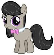 User crazysam pony