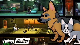 Fallout Shelter Pets Fallout Wiki Fandom