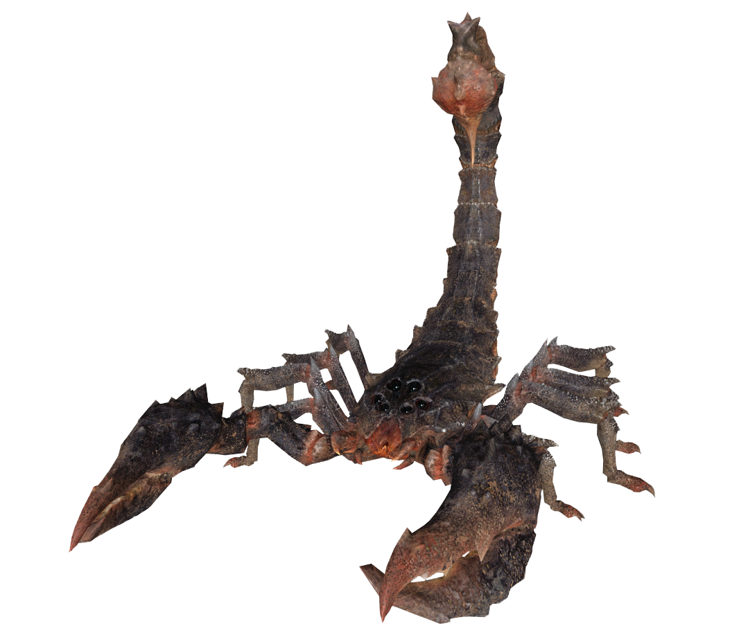 fallout new vegas radscorpion