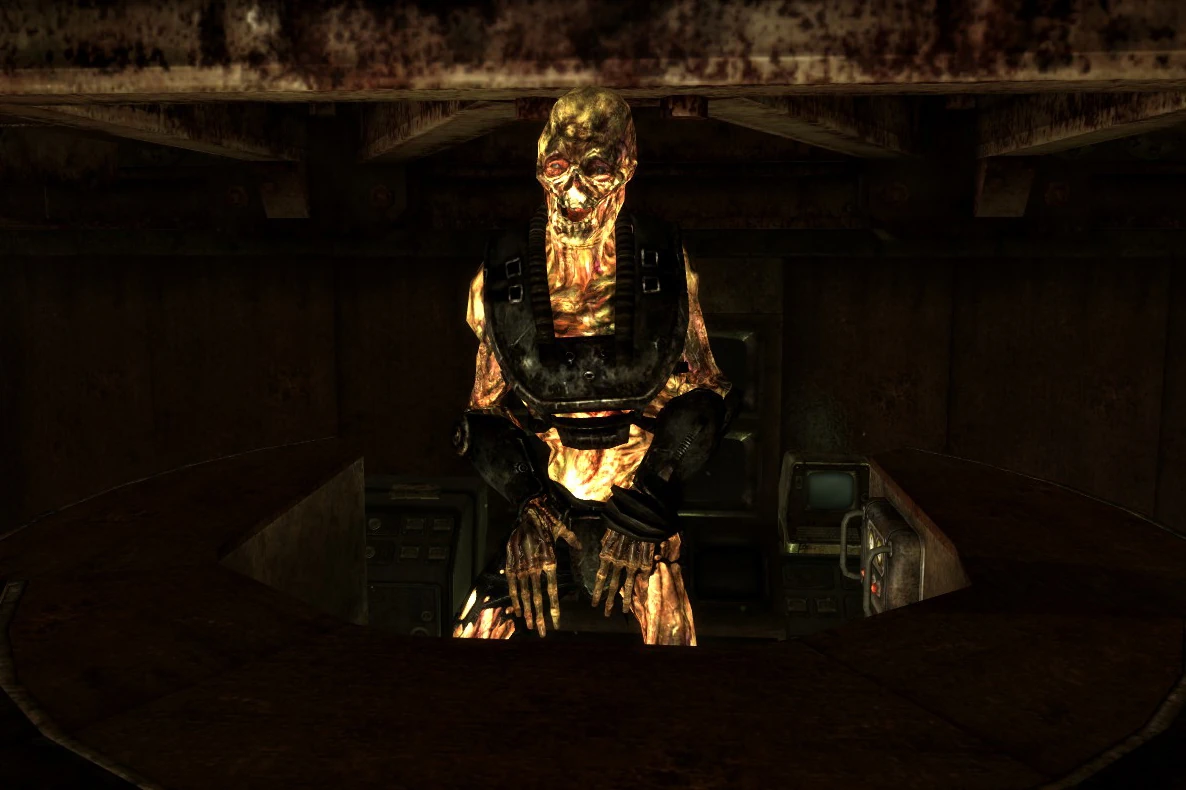 Vault 34 security armor