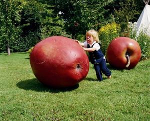 Orchard2