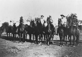 Drovers