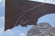 Sky glider