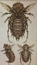 154px-BloatflyCA