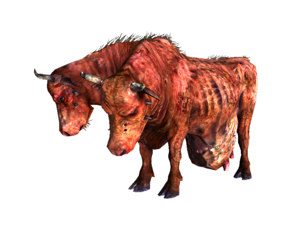 File:Brahmin.png
