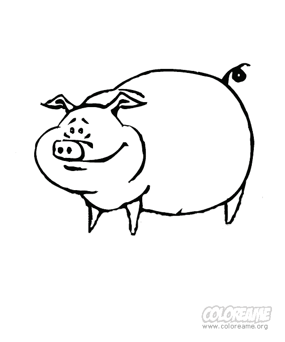 Cerdito Para Colorear Infantil Dibujos para colorear Wiki Familia y escuela FANDOM