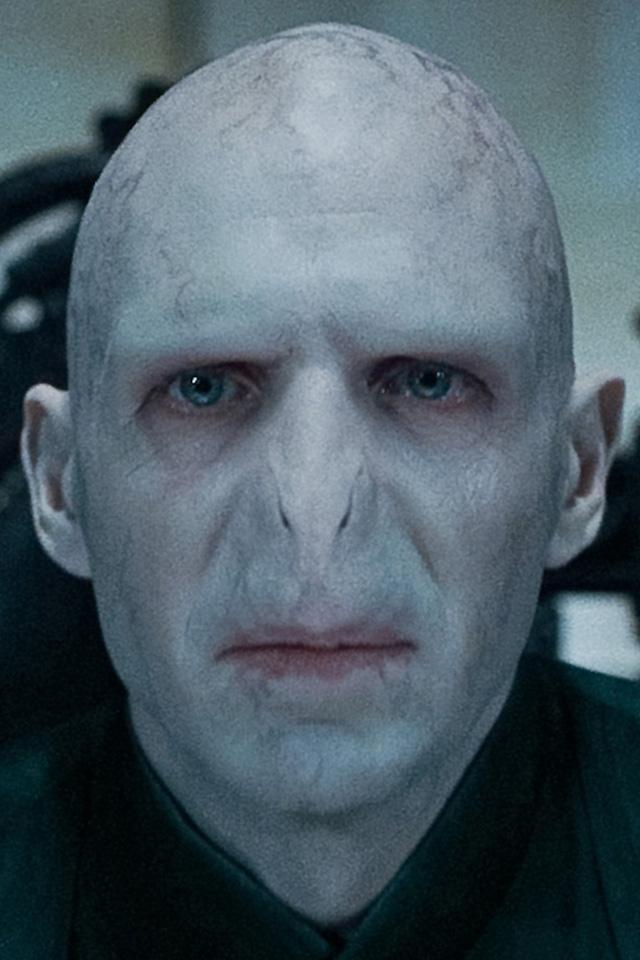 Voldemort | Wiki Famille Mundi Amidala | Fandom