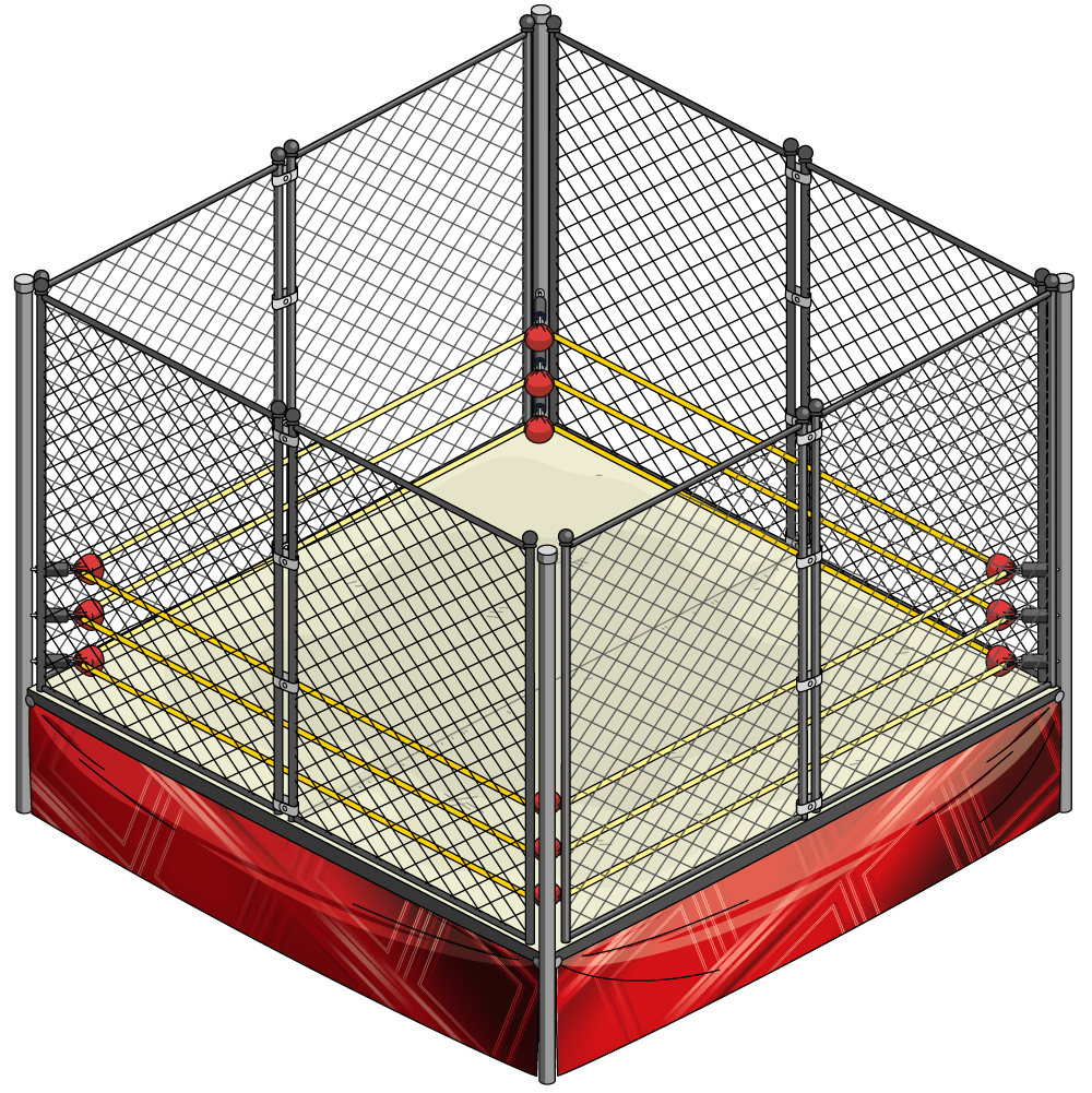 cage match ring