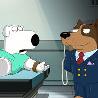 Short Cuts Family Guy Wiki Fandom