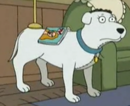 Biscuit
