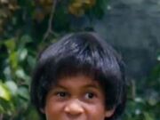 Download Bruce lee alter HD