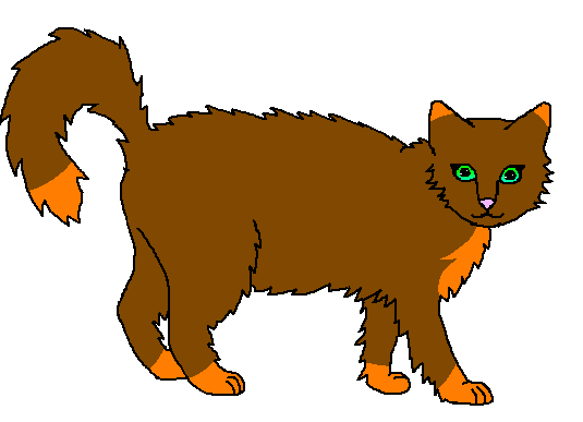 Калина коты воители Калина коты воители