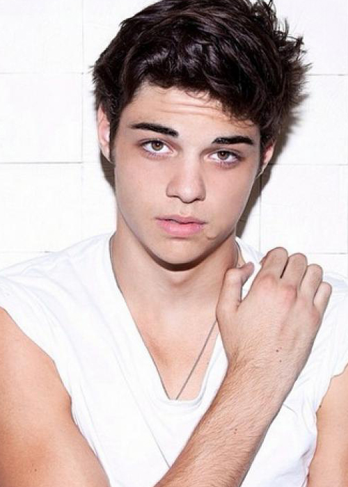 Next photo of Noah Centineo