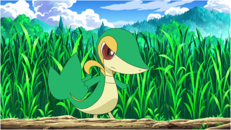 Image 800px Ash Snivy Png Fan Fiction Fandom Powered By Wikia