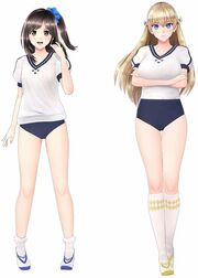Shorts Type Bloomers