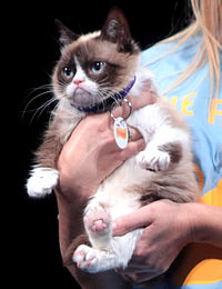 Grumpy Cat by Gage Skidmore