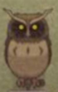 The owl-0