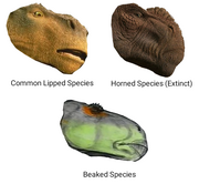 Dinosaur-Iguanodont Heads